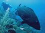 belize2003 - 47